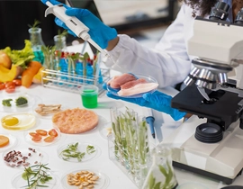 Mesa de laboratorio con muestras de alimentos varios para analizar
