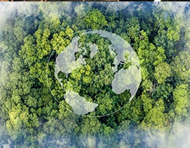 Vista aérea de un bosque con una imagen la bola del mundo sobre la vista.