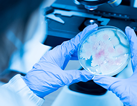 imagen de laboratorio muestras de cultivo