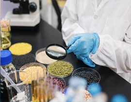 Muestras de alimentos en laboratorio para ser analizadas
