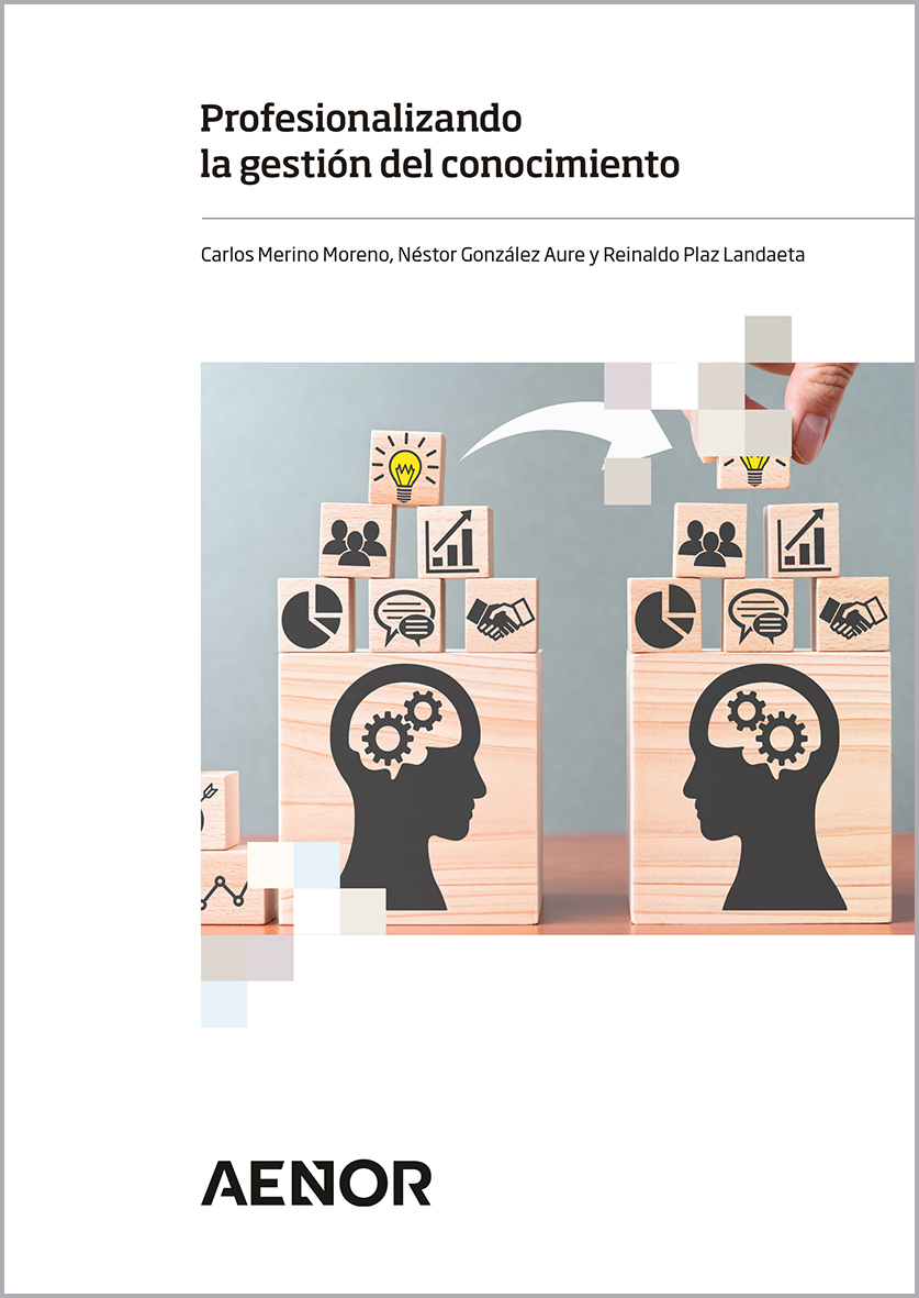 Profesionalizando la gestión del conocimiento