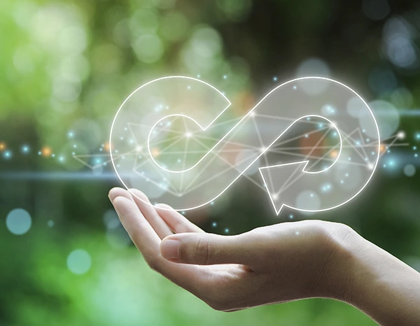 Colección Economía Circular